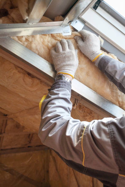 Best Insulation Maintenance and Repair in Slater, IA
