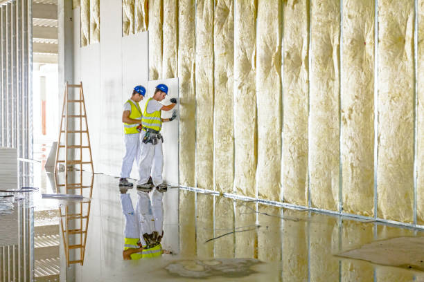 Best Commercial Insulation in Slater, IA